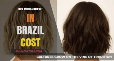 Brazil Haircut Prices: What to Expect When Getting a Trim