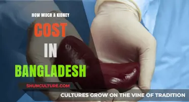 Kidney Transplant Costs in Bangladesh: What You Need to Know