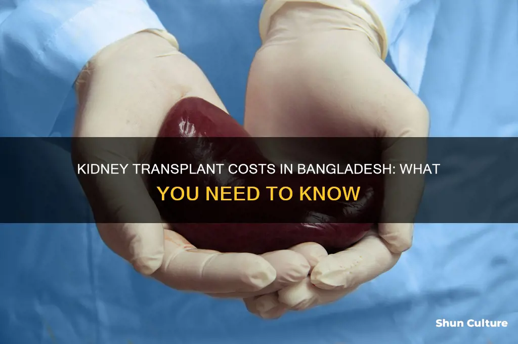 how much a kidney cost in bangladesh