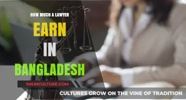 Lawyer Earnings in Bangladesh: Unveiling the Salary and Career Prospects