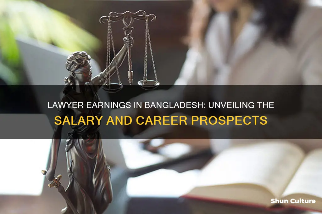 how much a lawyer earn in bangladesh
