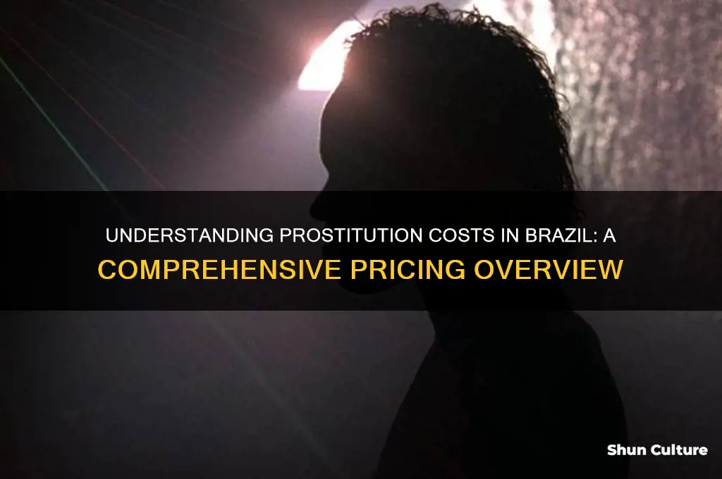 how much a prostitute costs in brazil
