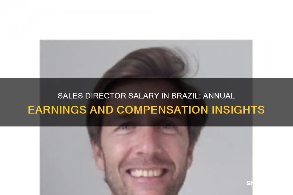 how much a sales director make in brazil a year
