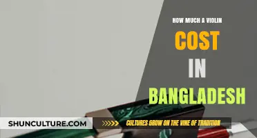 Violin Prices in Bangladesh: A Comprehensive Cost Guide