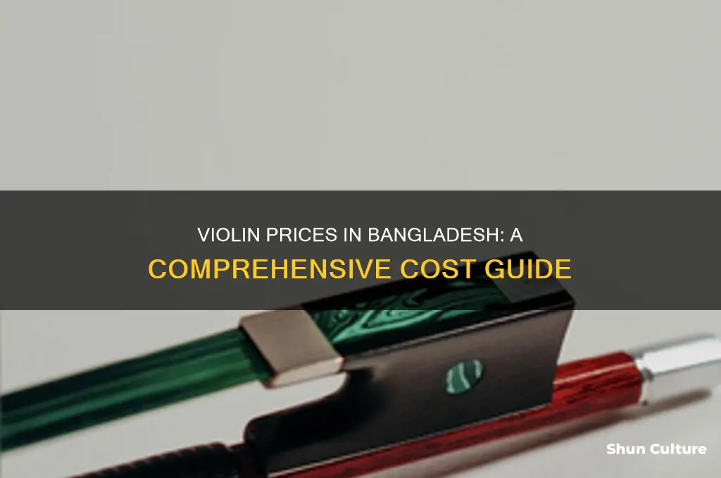 how much a violin cost in bangladesh