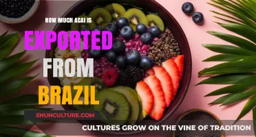 Brazil's Acai Exports: Unveiling the Global Demand and Trade Volume