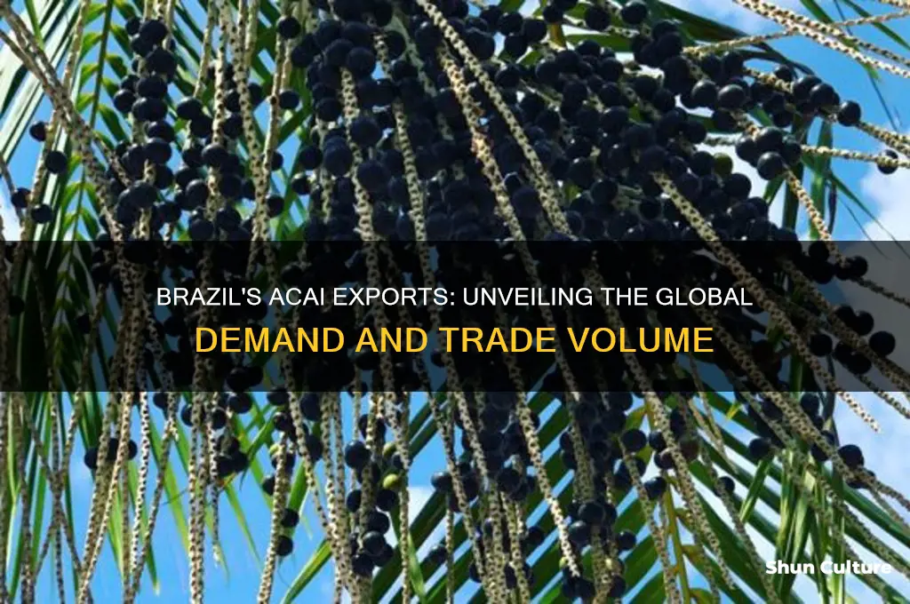 how much acai is exported from brazil