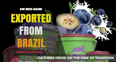 Brazil's Acai Exports: Unveiling the Global Demand and Trade Volume