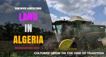 Algeria's Agricultural Land: Extent, Use, and Economic Impact Explored