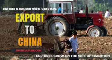 Brazil’s Agricultural Exports to China: Volume, Value, and Trends