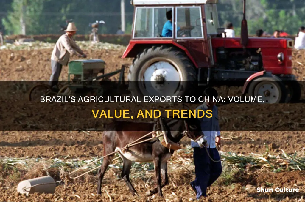 how much agricultural products does brazil export to china