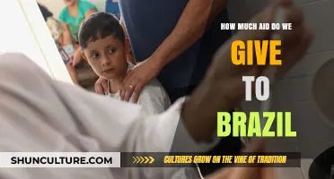 Understanding Brazil's Foreign Aid: How Much Do We Contribute?