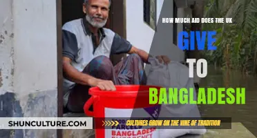 UK's Aid to Bangladesh: Understanding the Financial Support and Impact