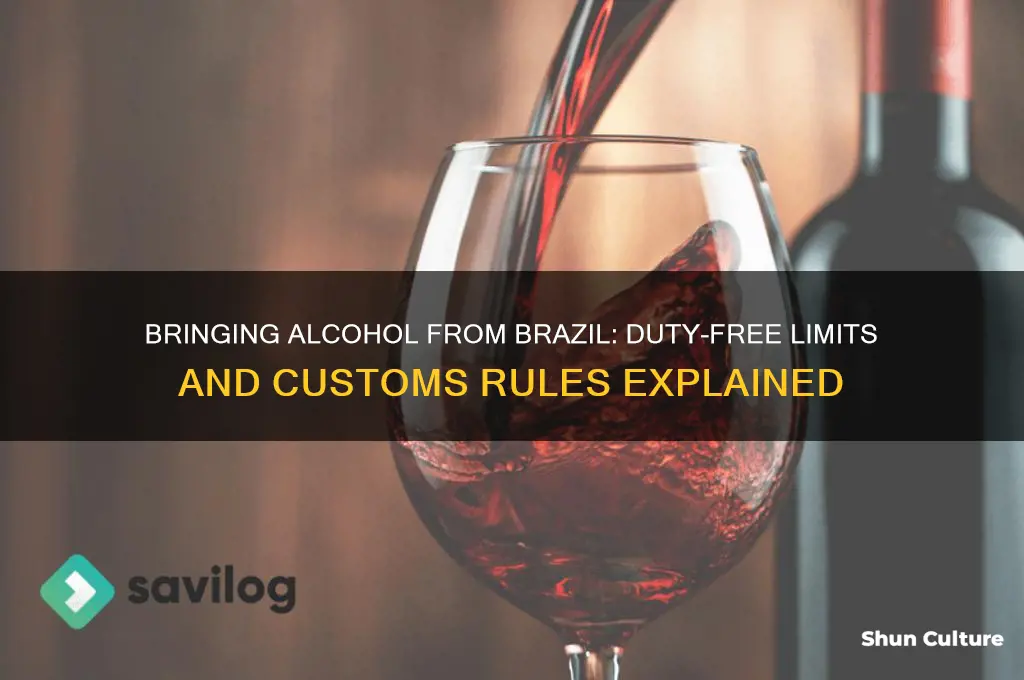 how much alcohol can you bring back from brazil