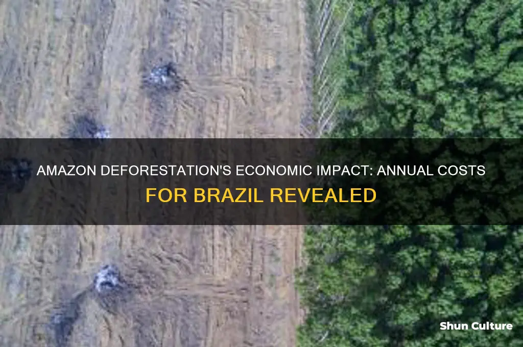 how much amazon deforestation would cost brazil prr year