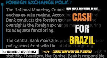 Best Places to Exchange Cash for Brazil: Rates and Tips