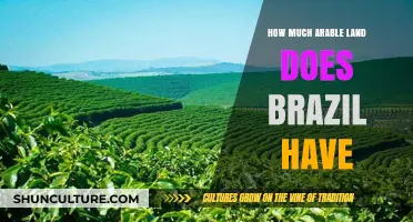 Brazil's Arable Land: Exploring the Vast Agricultural Potential and Statistics