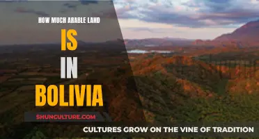 Exploring Bolivia's Arable Land Potential