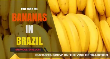 Bananas in Brazil: Uncovering the Cost of This Tropical Fruit