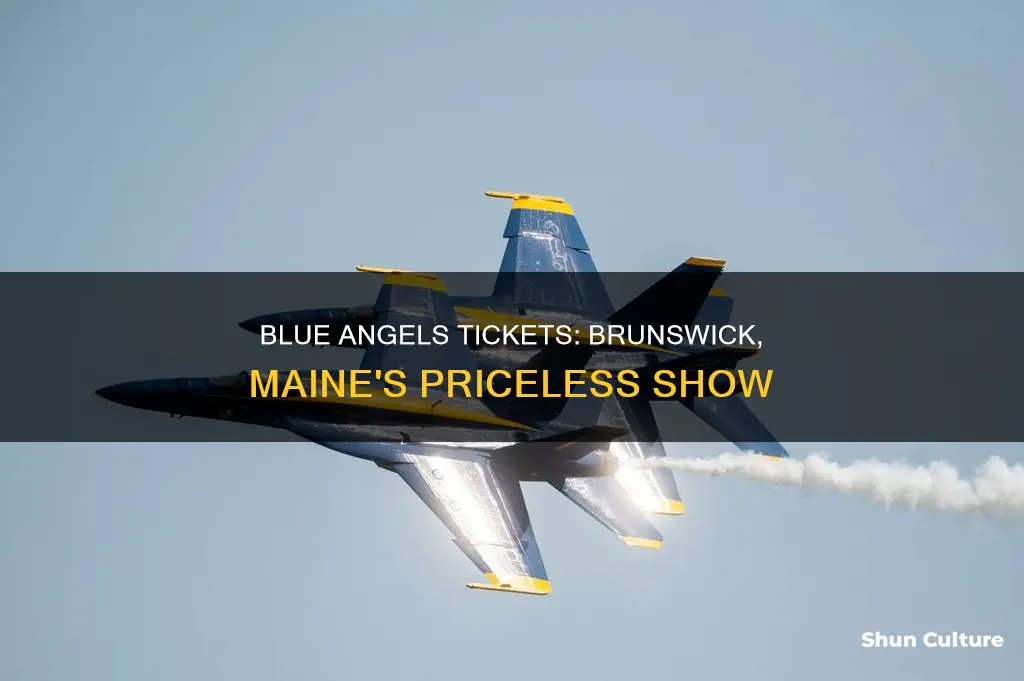 how much are blue angels tickets brunswick maine