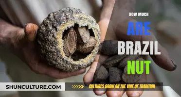 Brazil Nut Prices: Factors Influencing Cost and Market Value