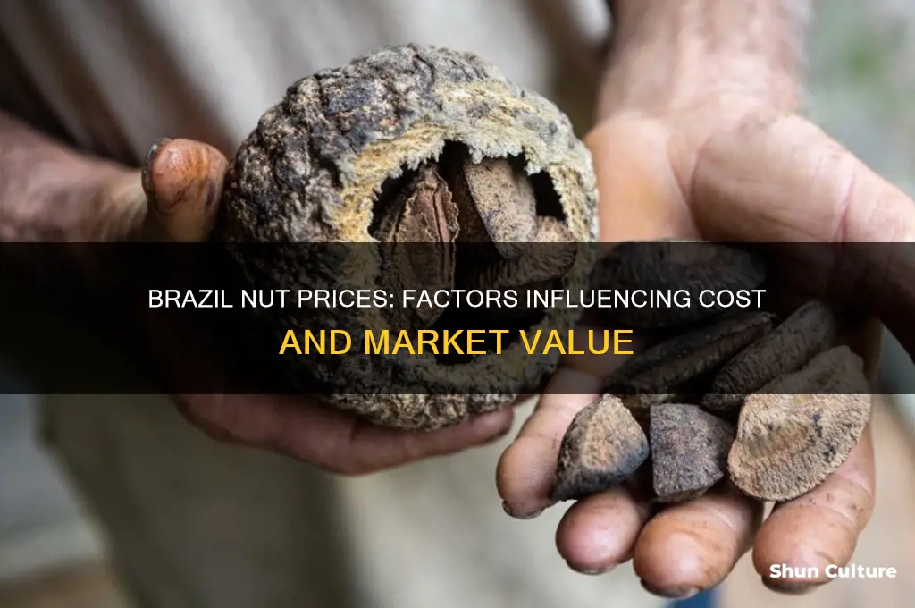 how much are brazil nut