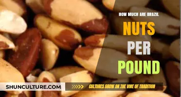 Brazil Nuts Price Guide: Cost per Pound and Buying Tips