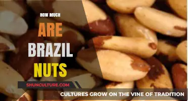 Brazil Nuts Price Guide: Cost, Factors, and Buying Tips