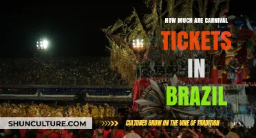 Discover Brazil Carnival Ticket Prices: A Complete Cost Guide