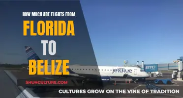 Florida to Belize: Unveiling the True Cost of Flights