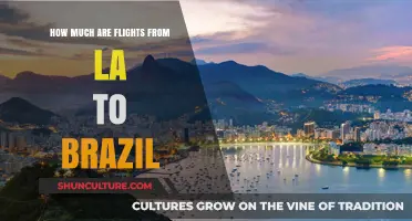 LA to Brazil Flights: Cost Breakdown and Booking Tips