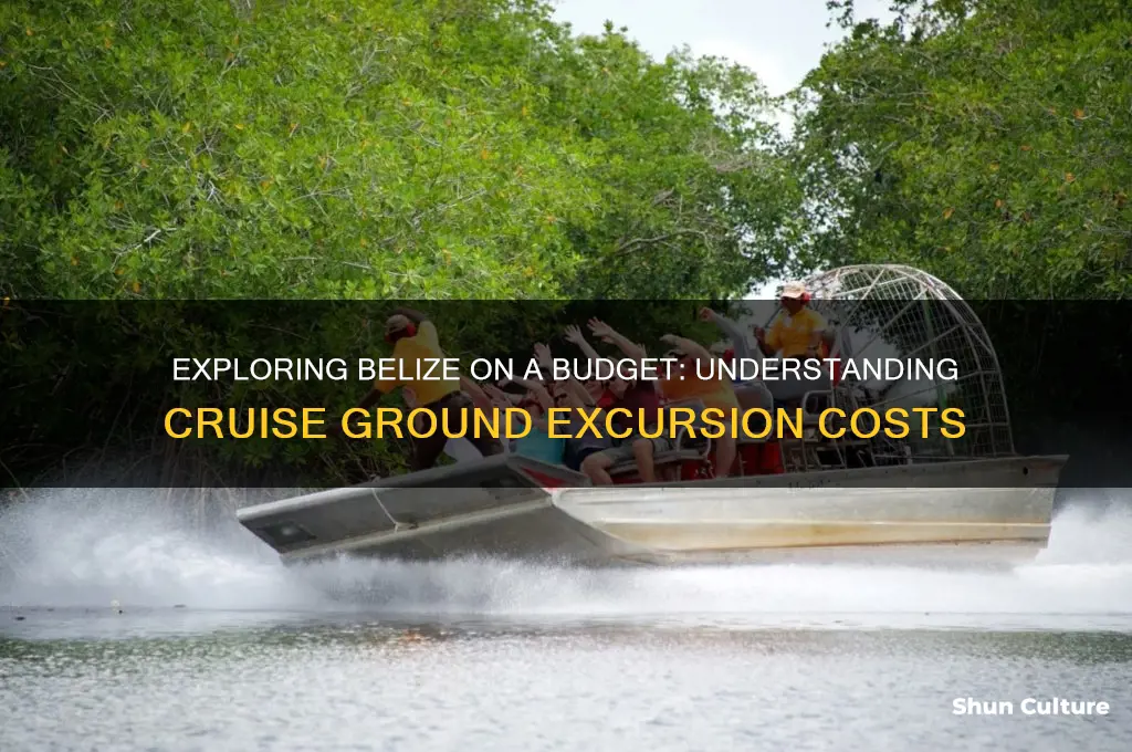 how much are ground excursions on a cruise to belize