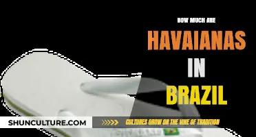 Havaianas Price Guide: How Much Do They Cost in Brazil?