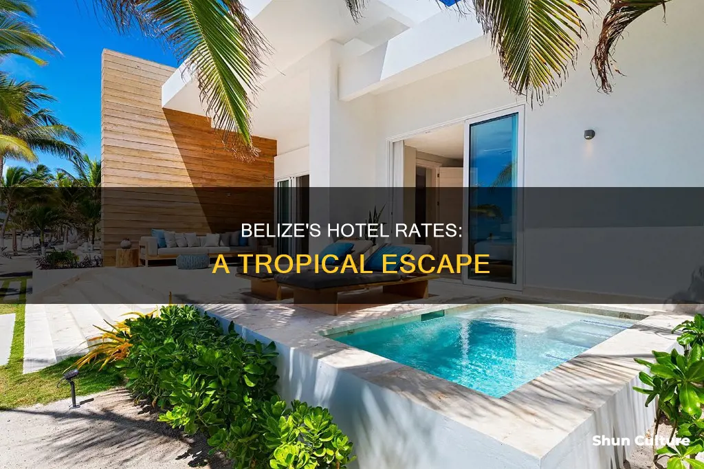 how much are hotels in belize