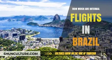 Exploring Brazil: Internal Flight Costs and Budget Travel Tips