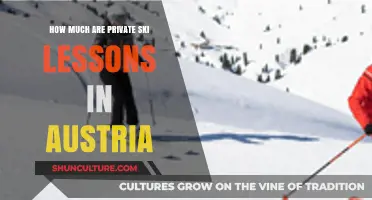 Private Ski Lessons in Austria: Cost & Benefits