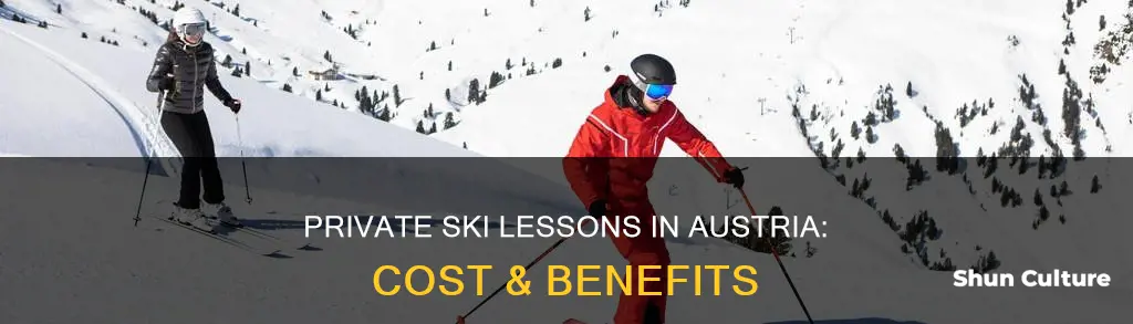 how much are private ski lessons in austria