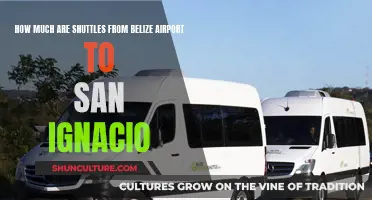 Belize Airport Shuttle Service: San Ignacio Transport Options