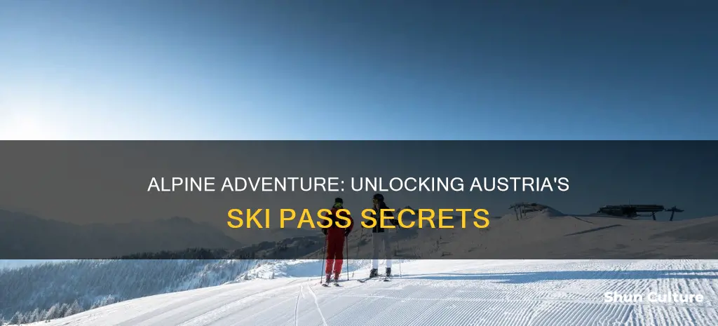 how much are ski passes in austria