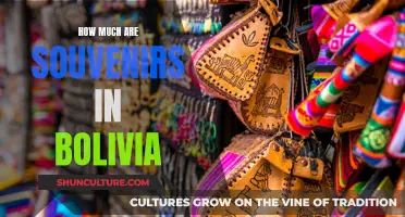 Exploring Bolivia: The Cost of Travel Memorabilia