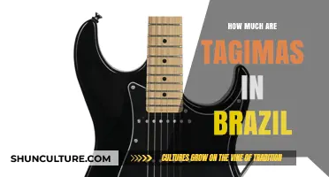 Tagima Guitar Prices in Brazil: A Comprehensive Cost Guide