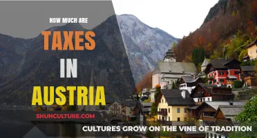 Unraveling Austria's Tax System: A Comprehensive Guide to Tax Rates