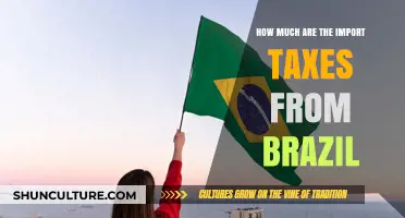 Understanding Brazil's Import Taxes: Costs, Calculations, and Compliance Tips