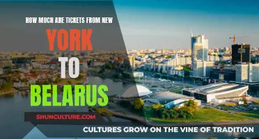 Exploring Ticket Prices: New York to Belarus