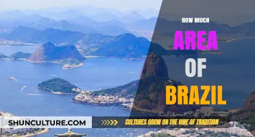 Exploring Brazil's Vast Territory: Understanding Its Total Land Area