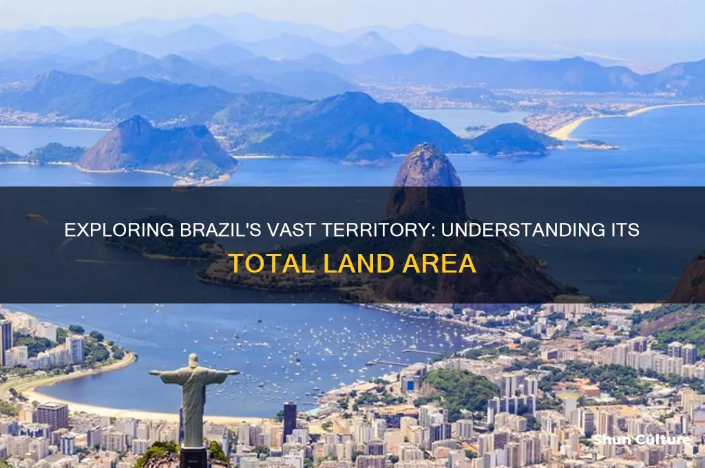 how much area of brazil