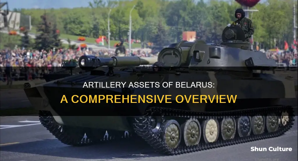 how much artillery does belarus have