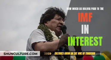 Bolivia's IMF Interest Payments: How Much?