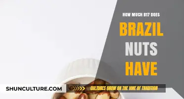 Brazil Nuts' B17 Content: Unveiling the Surprising Amount Inside