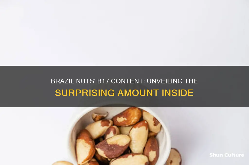 how much b17 does brazil nuts have